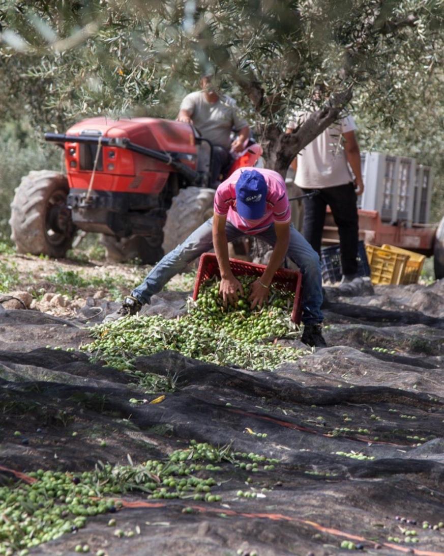 Azienda Agricola Mandranova Palma di Montechiaro Exterior foto